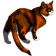 Коты Воители