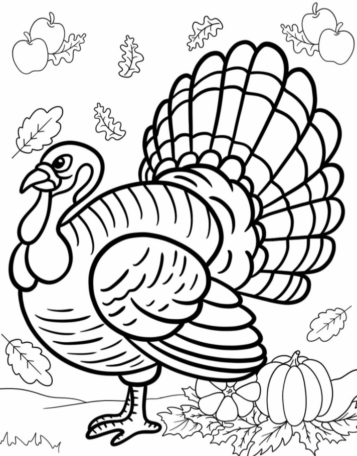 Милый индюк осенью с тыквами и листьями №20112. Раскраски животные (весь животный мир). Индюки.