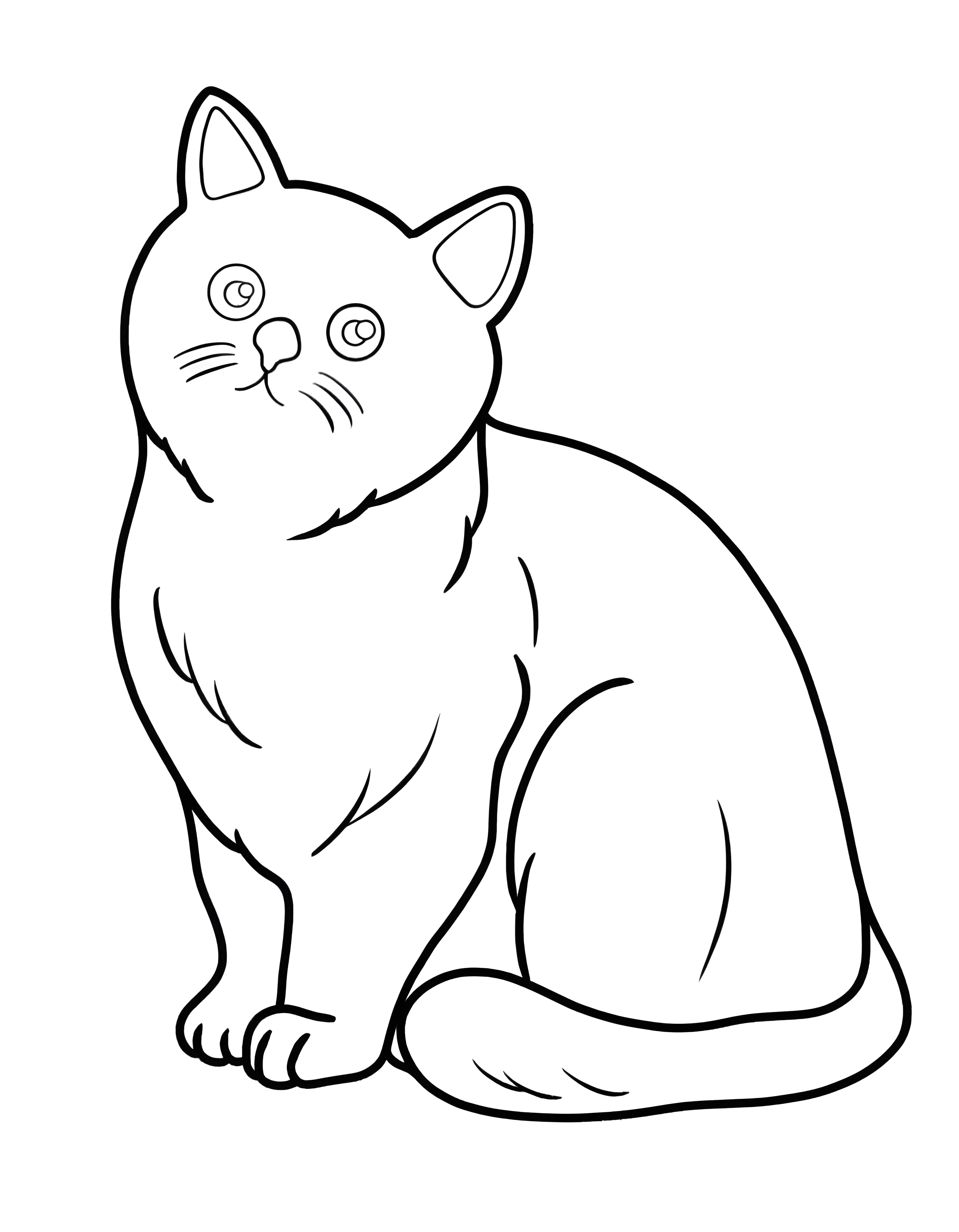 Забавный котенок №18427. Раскраски животные (весь животный мир). Кошки.
