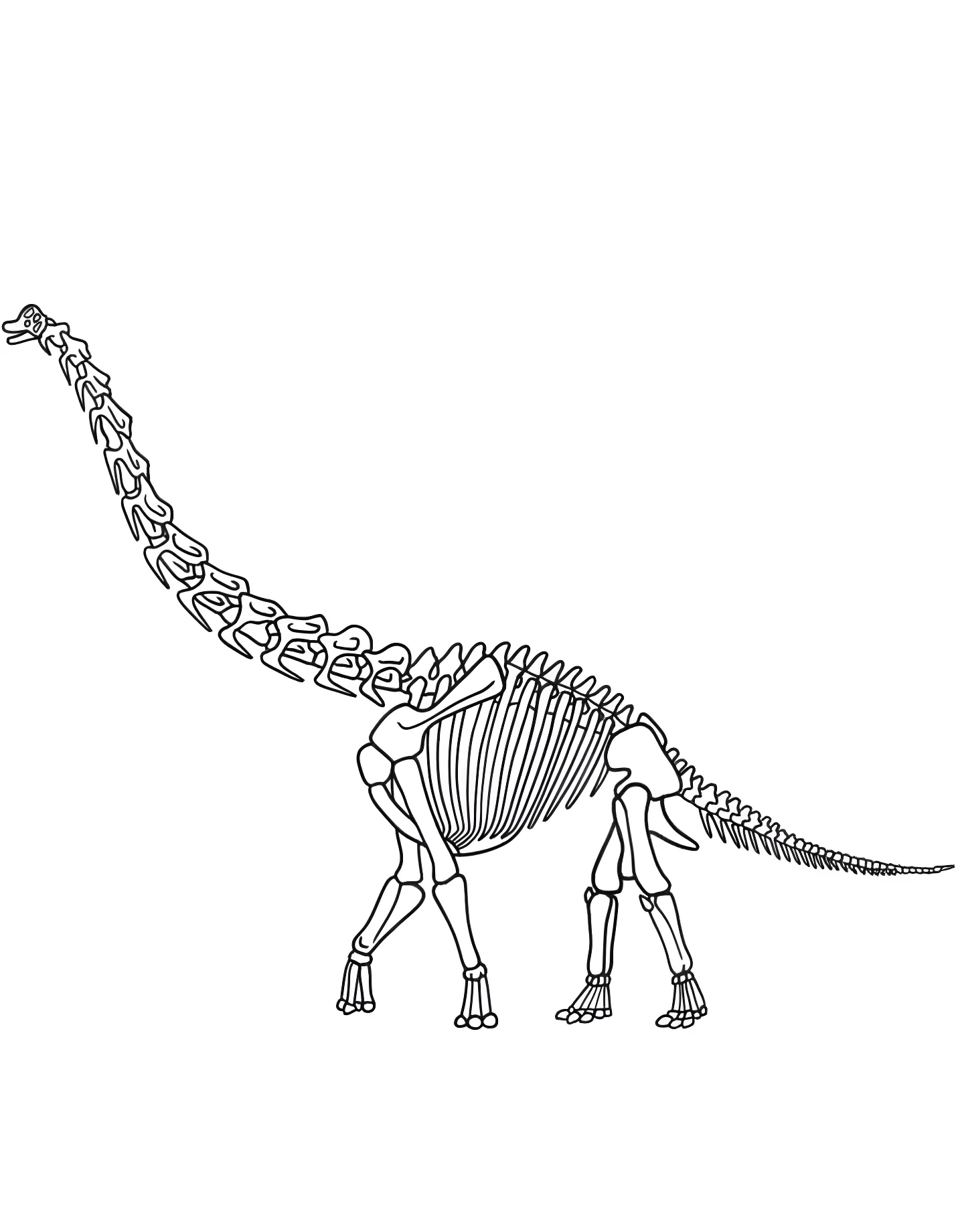 Скелет брахиозавра №21330. Динозавры. Брахиозавр (Brachiosaurus).