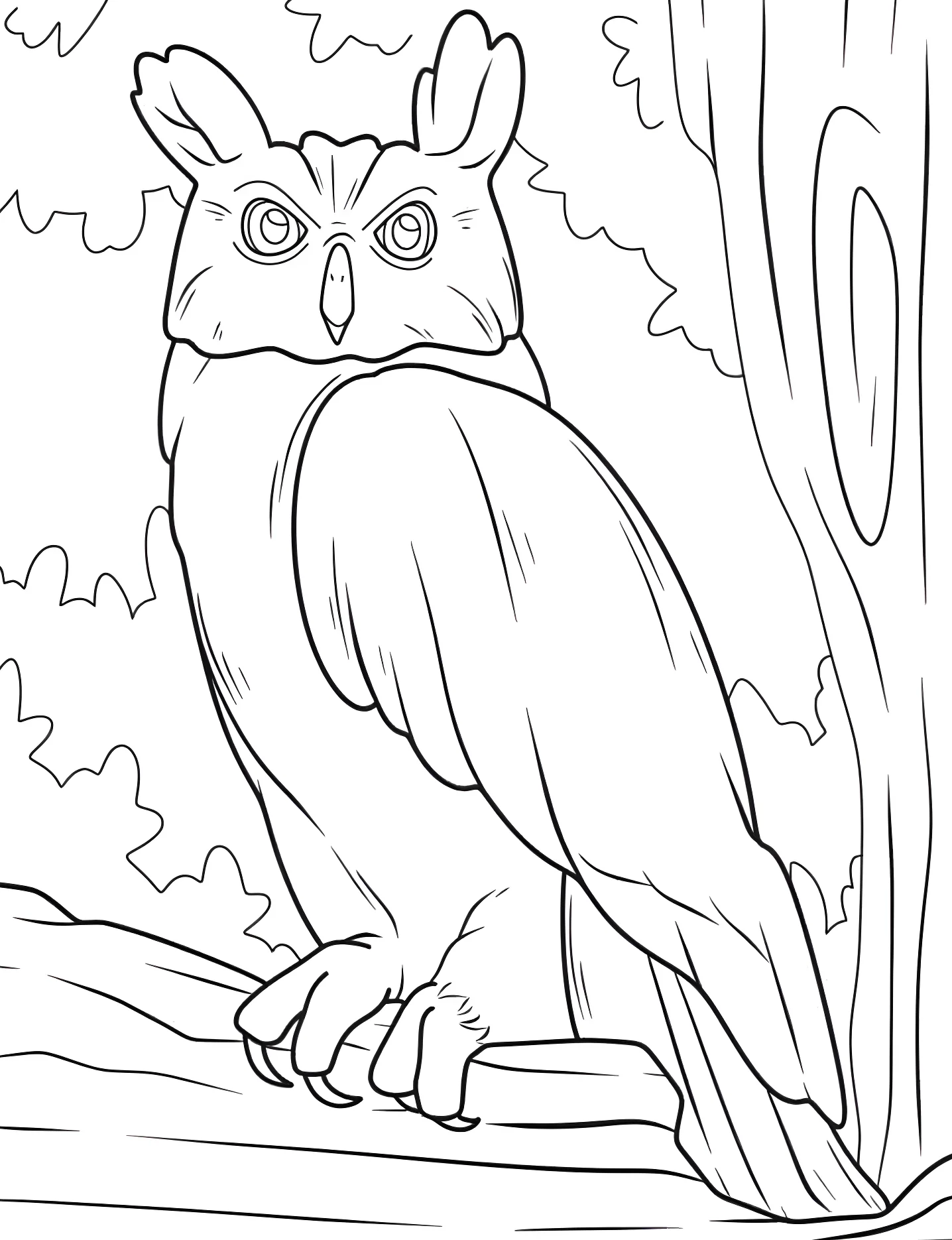 Большая сова №9190. Раскраски для девочек по категориям. Сова (Owl).
