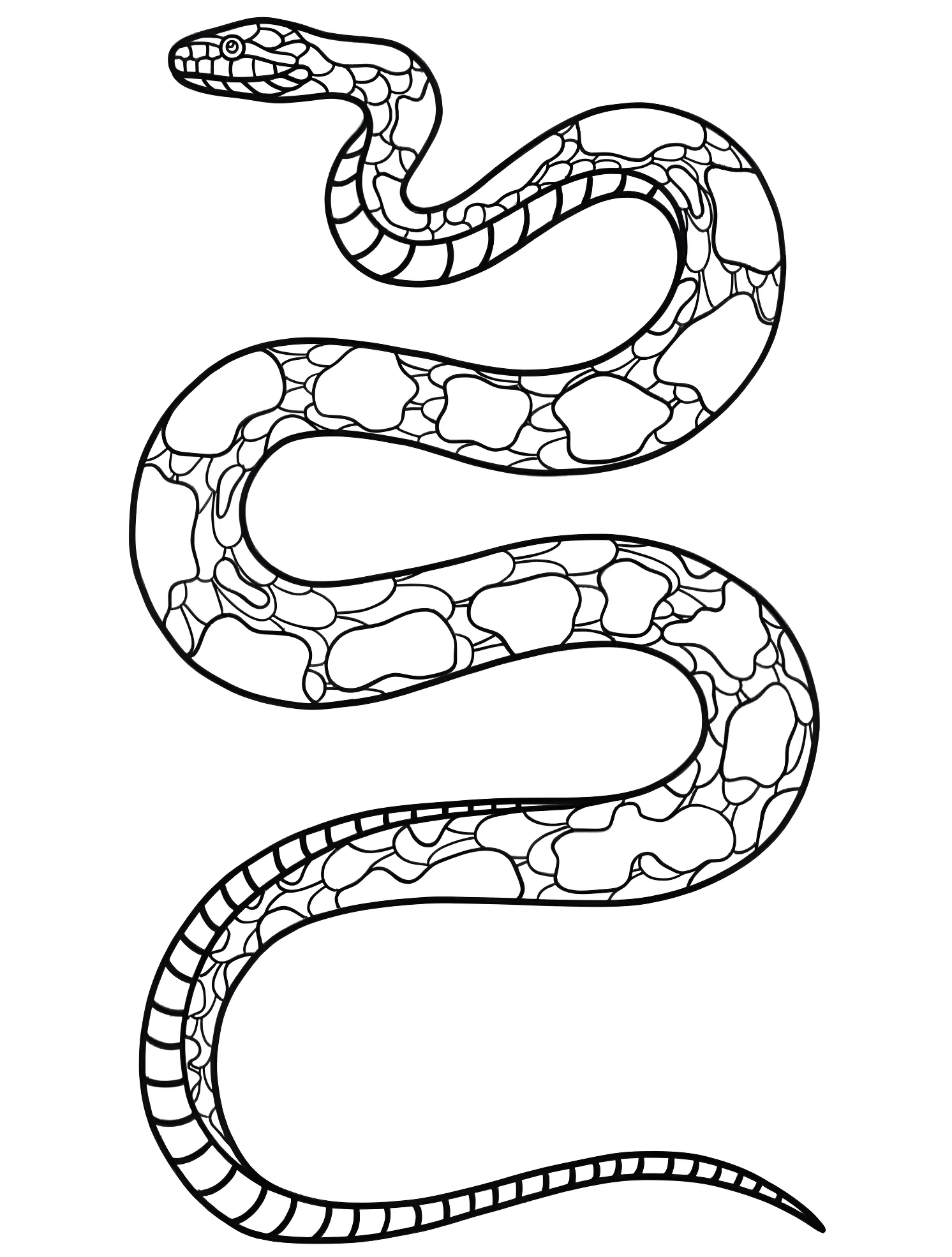 Большая питон №7398. Раскраски для мальчиков по категориям. Змея (Snake).