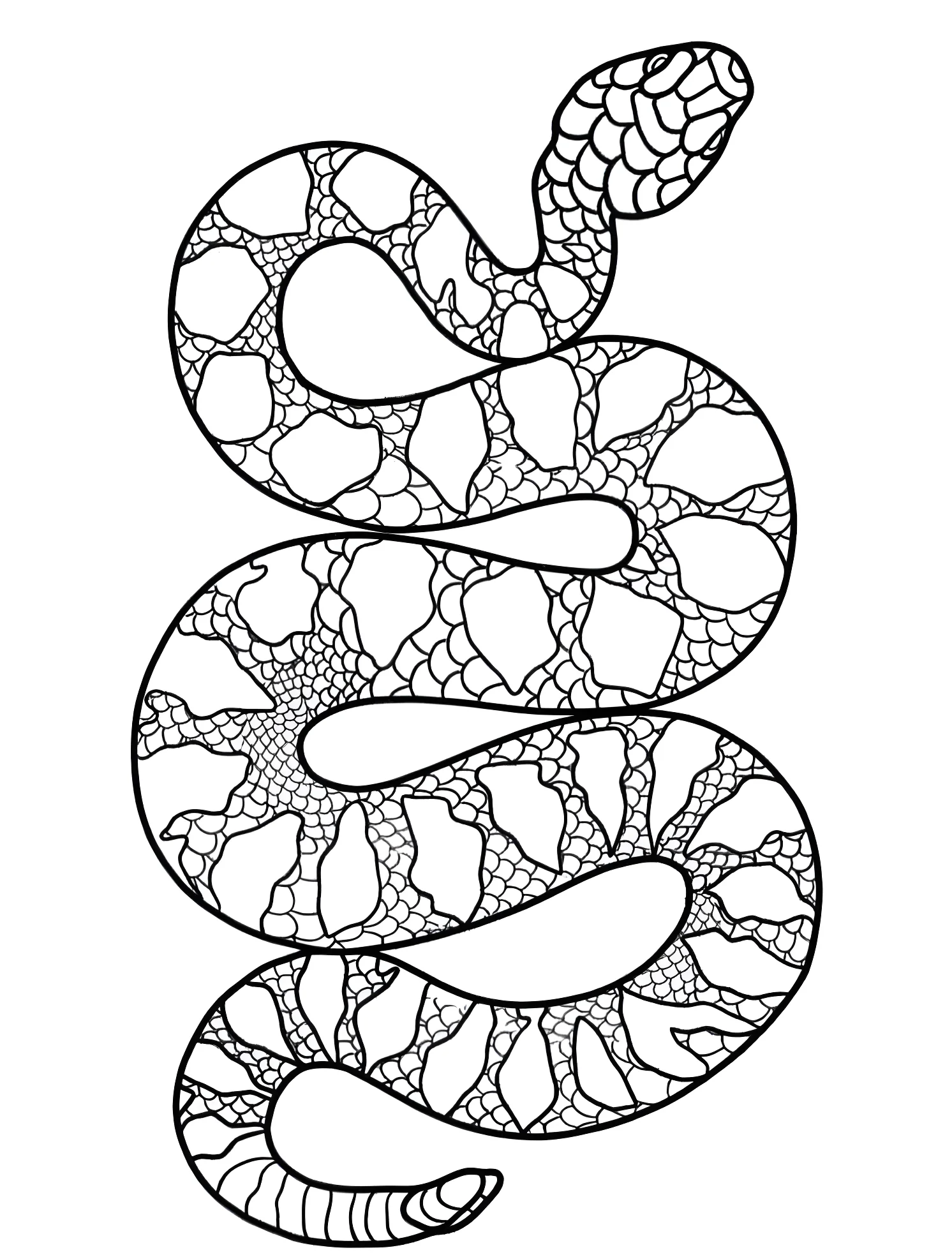 Большой питон №7418. Раскраски для мальчиков по категориям. Змея (Snake).