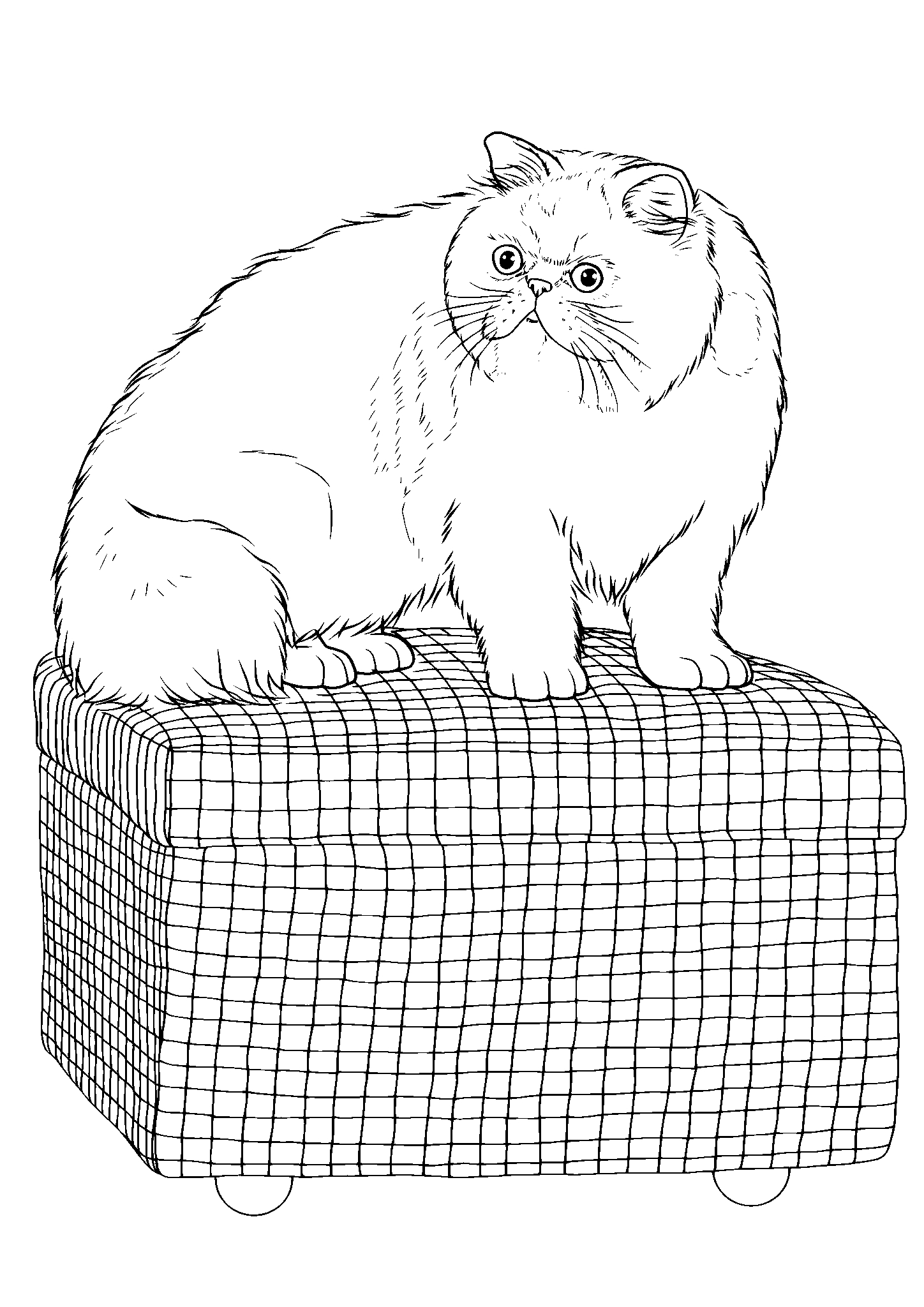 Кот на чемодане №2811. Популярные раскраски. Коты, кошки, котята.