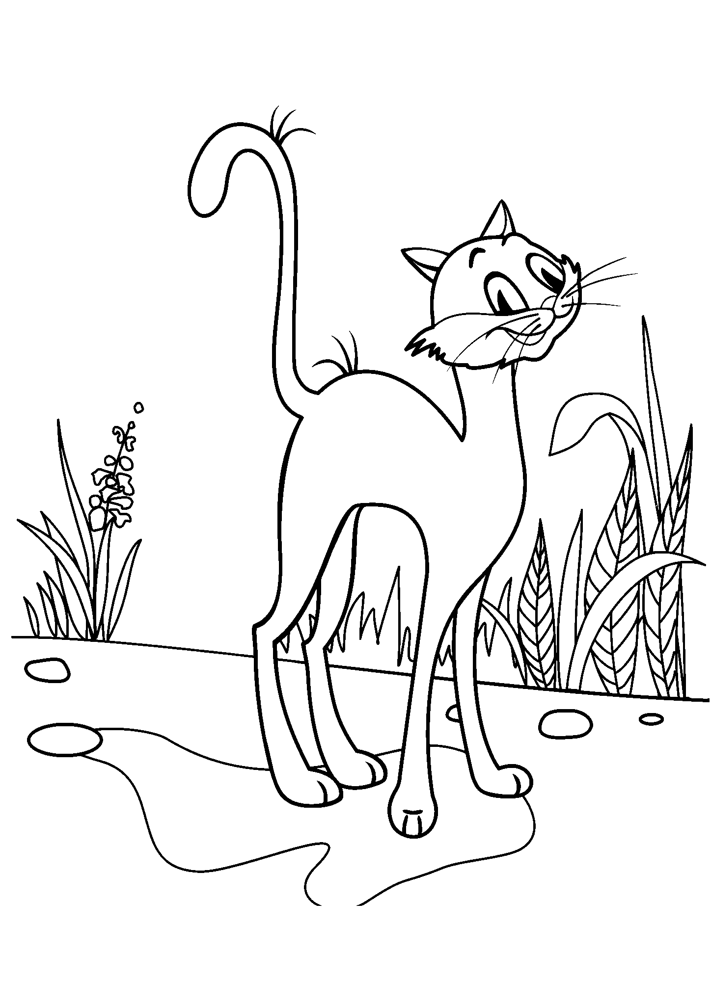 Котяра гуляет №2833. Популярные раскраски. Коты, кошки, котята.