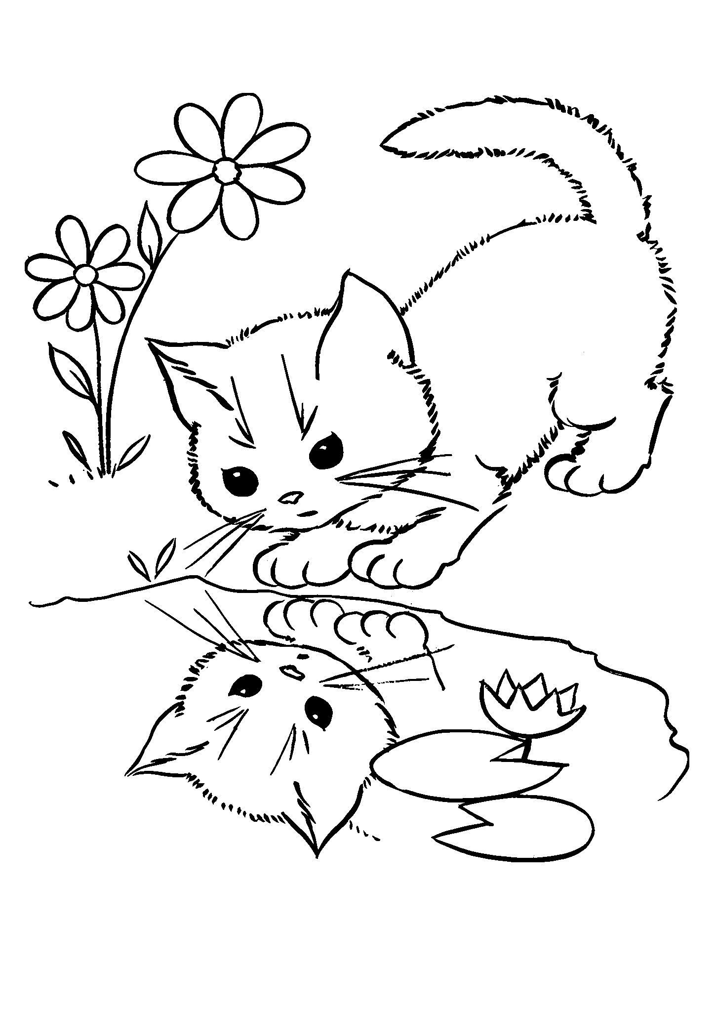 Котик смотрит в отражение №2826. Популярные раскраски. Коты, кошки, котята.