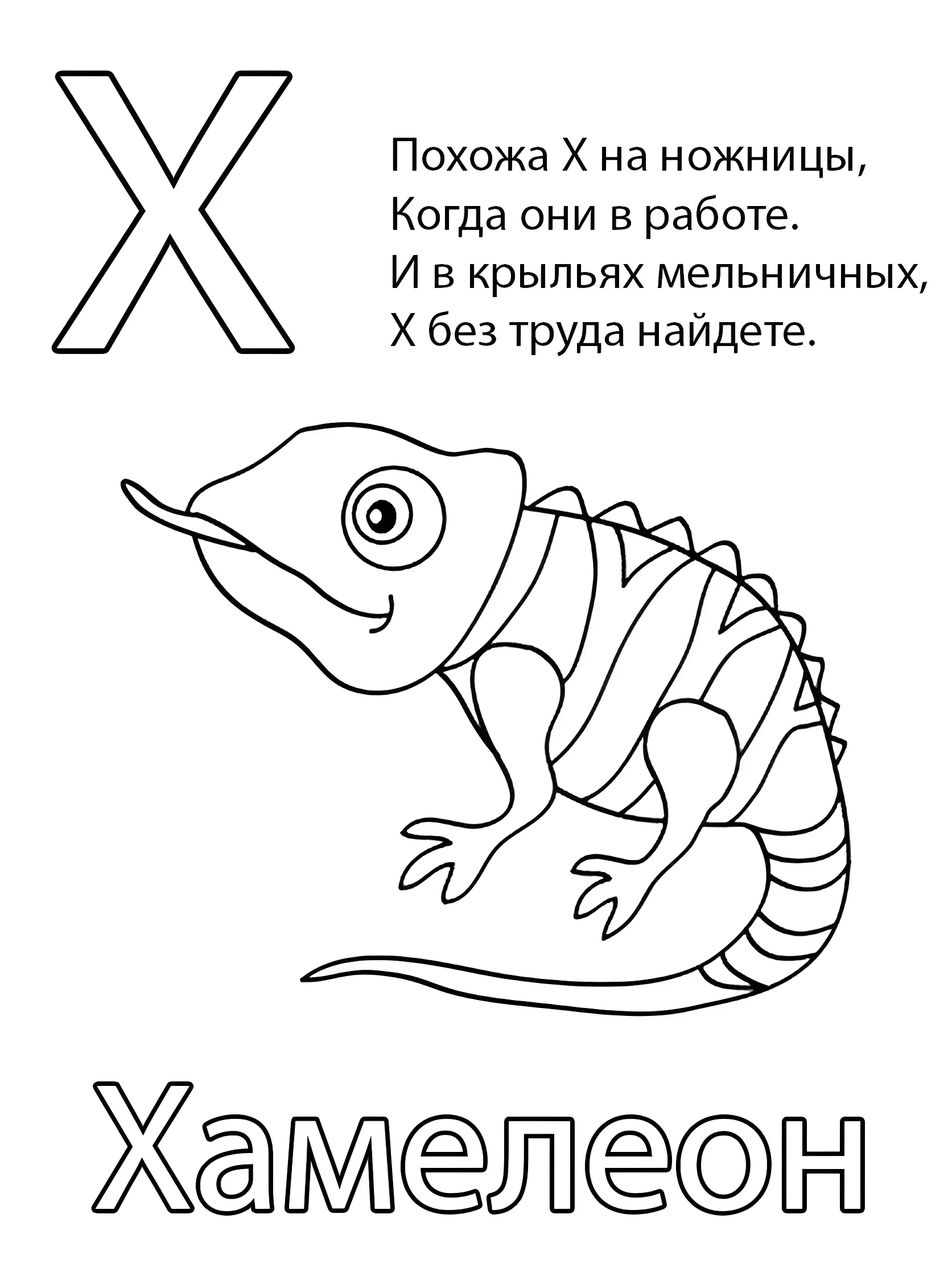 Буква Х — Хамелеон №6800. Обучающие и развивающие раскраски для детского сада, для начальных классов. Азбука в картинках.