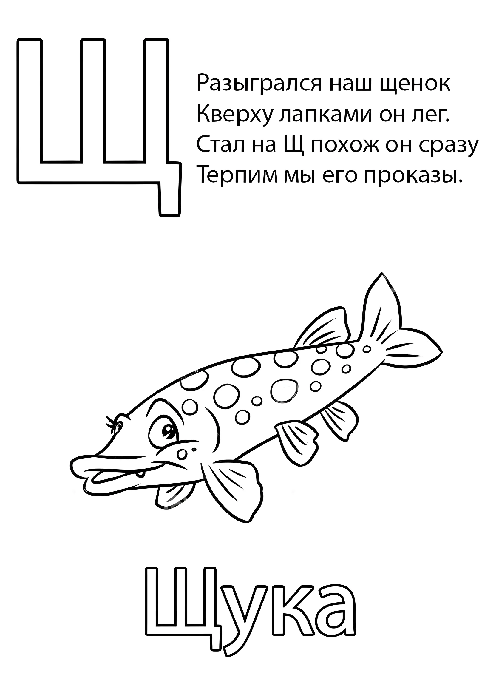 Буква Щ — Щука №6806. Обучающие и развивающие раскраски для детского сада, для начальных классов. Азбука в картинках.