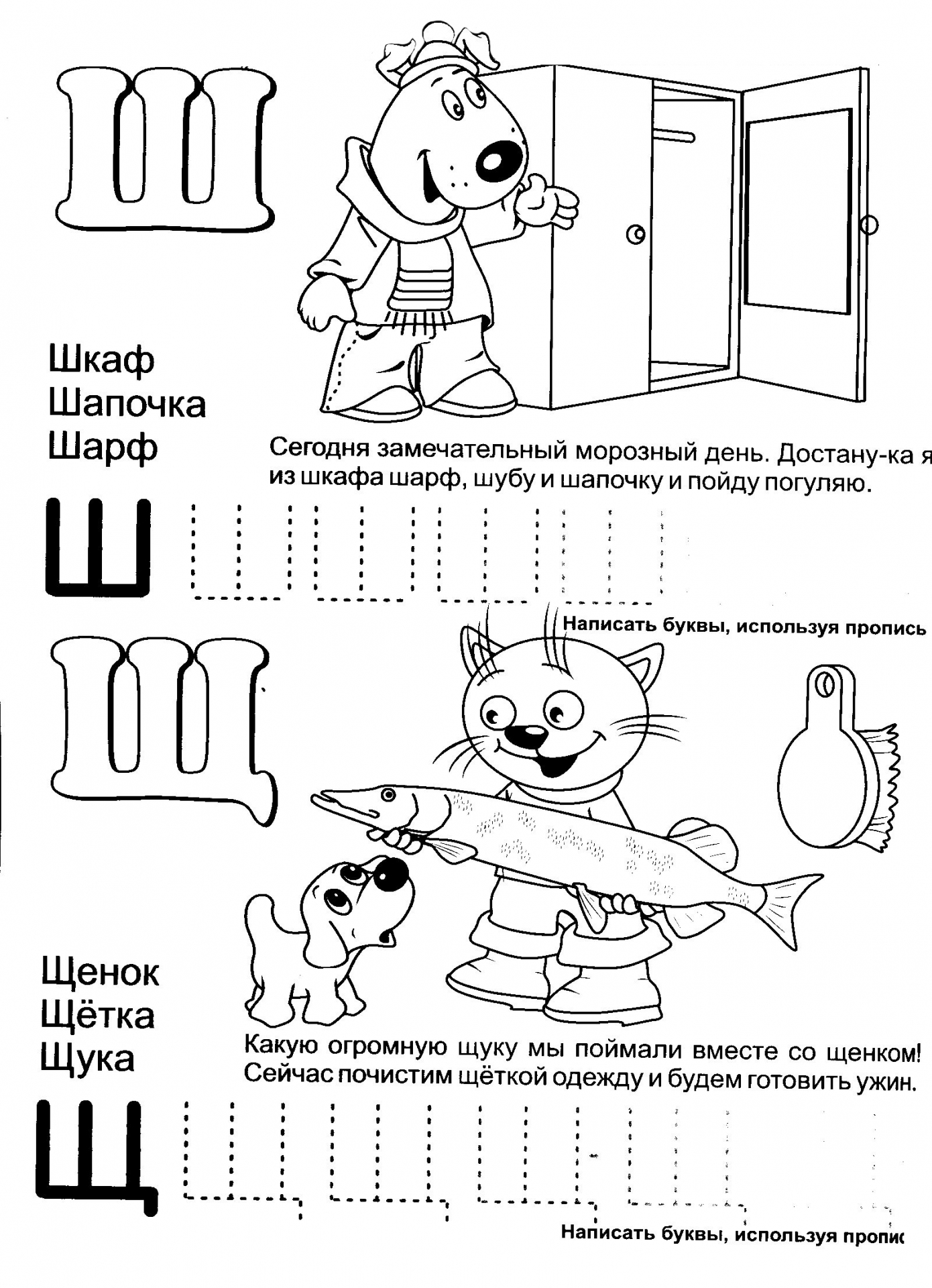 Обучающая азбука буквы Ш и Щ №407. Прописи онлайн. Прописи-раскраски для 1 класса.