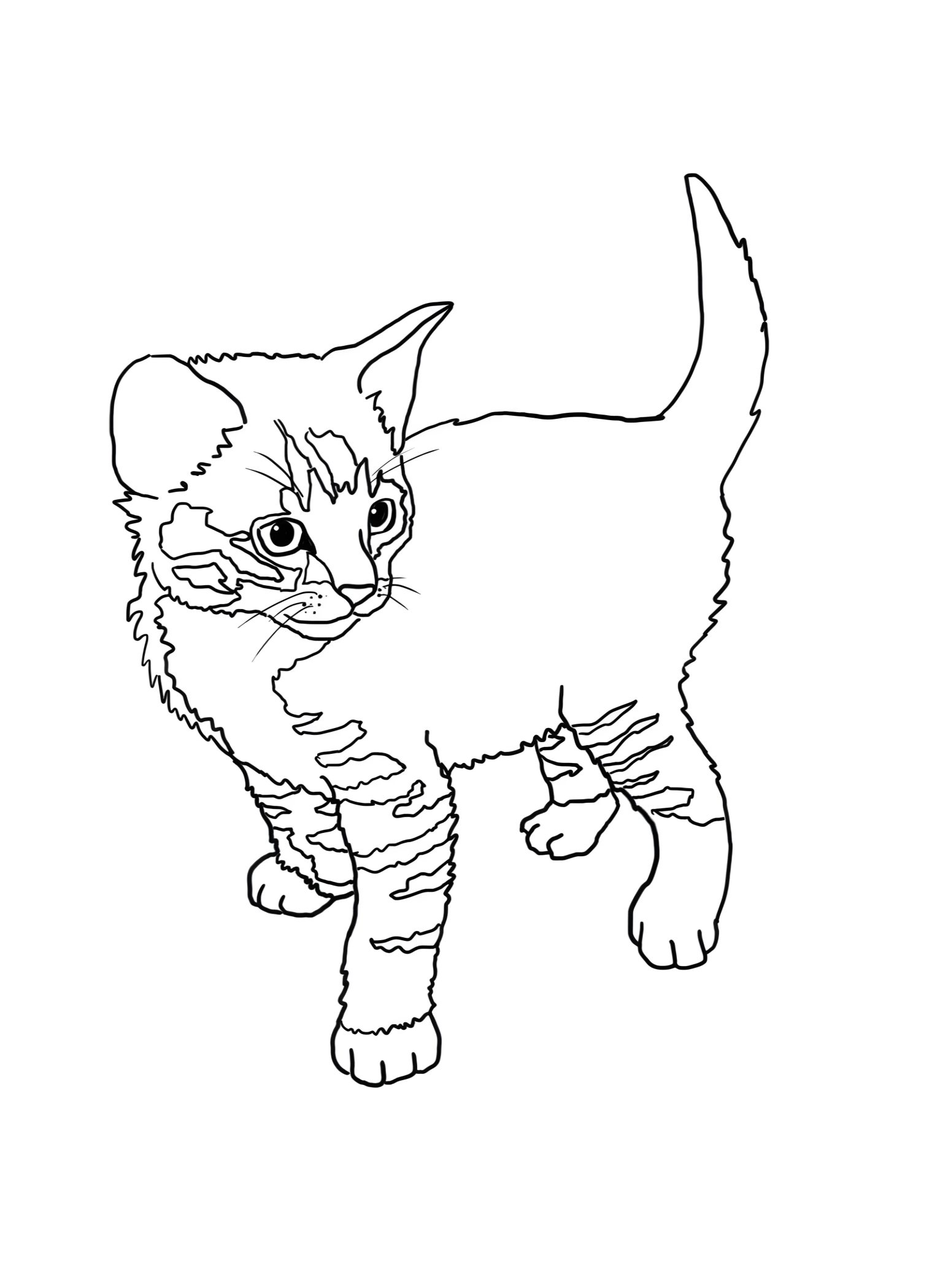 Котик смотрит №2877. Раскраски для девочек по категориям. Котики.