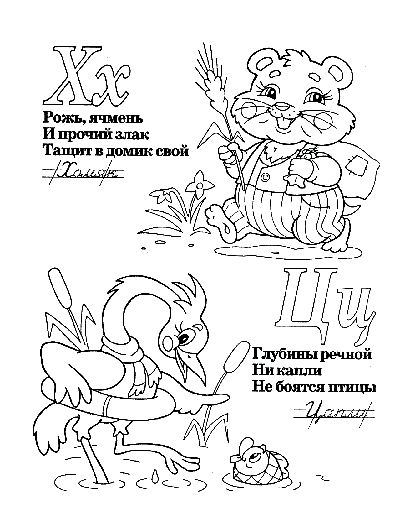 Буквы Х Ц со стихами. Раскраски и стихи для детей в прописях. Прописи для детей 5 и 6 лет №1198. Прописи онлайн. Прописи с картинками, раскрасками и стихами для малышей.