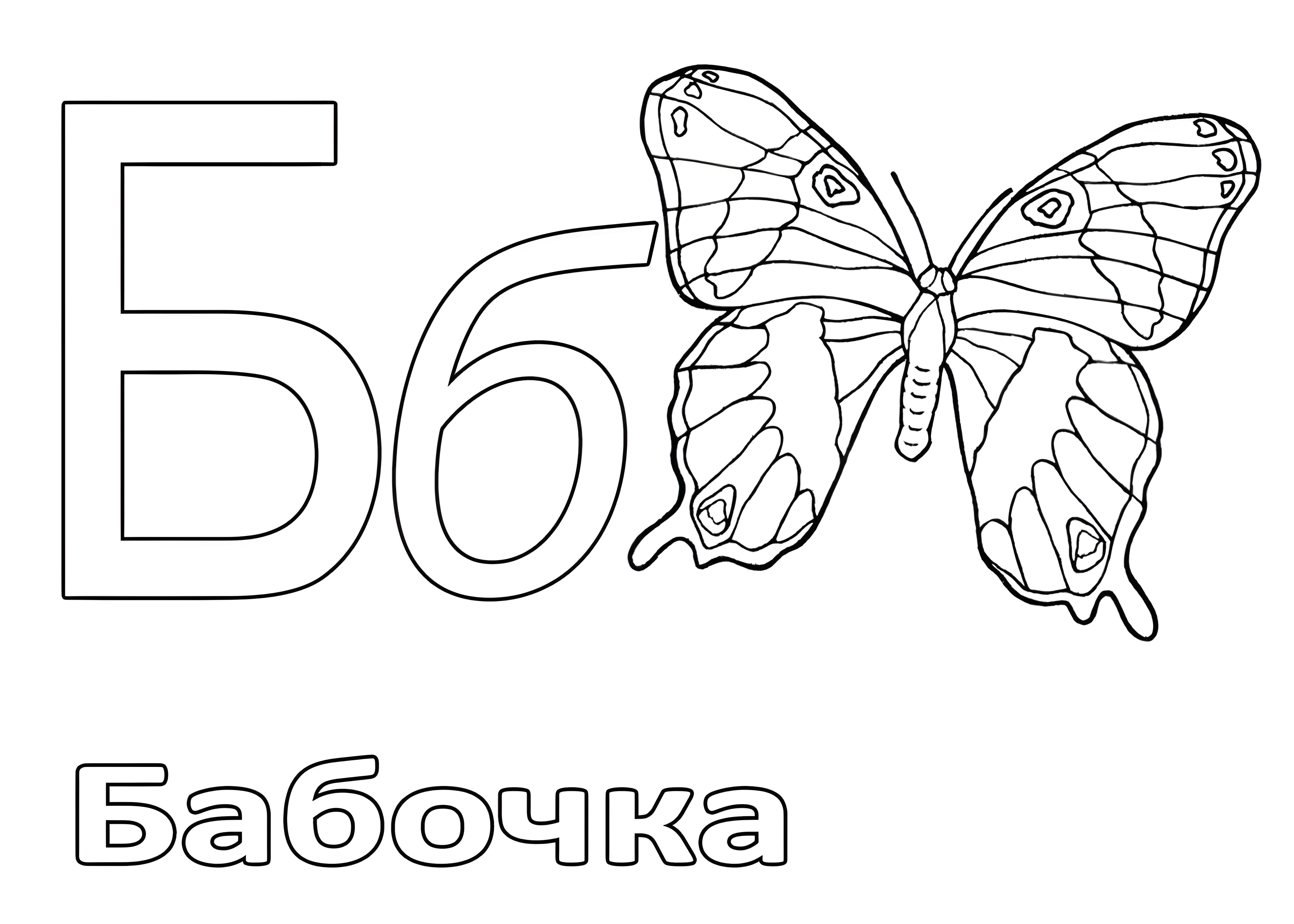 Буква Б и бабочка для малышей №6603. Обучающие и развивающие раскраски для детского сада, для начальных классов. Азбука в картинках.