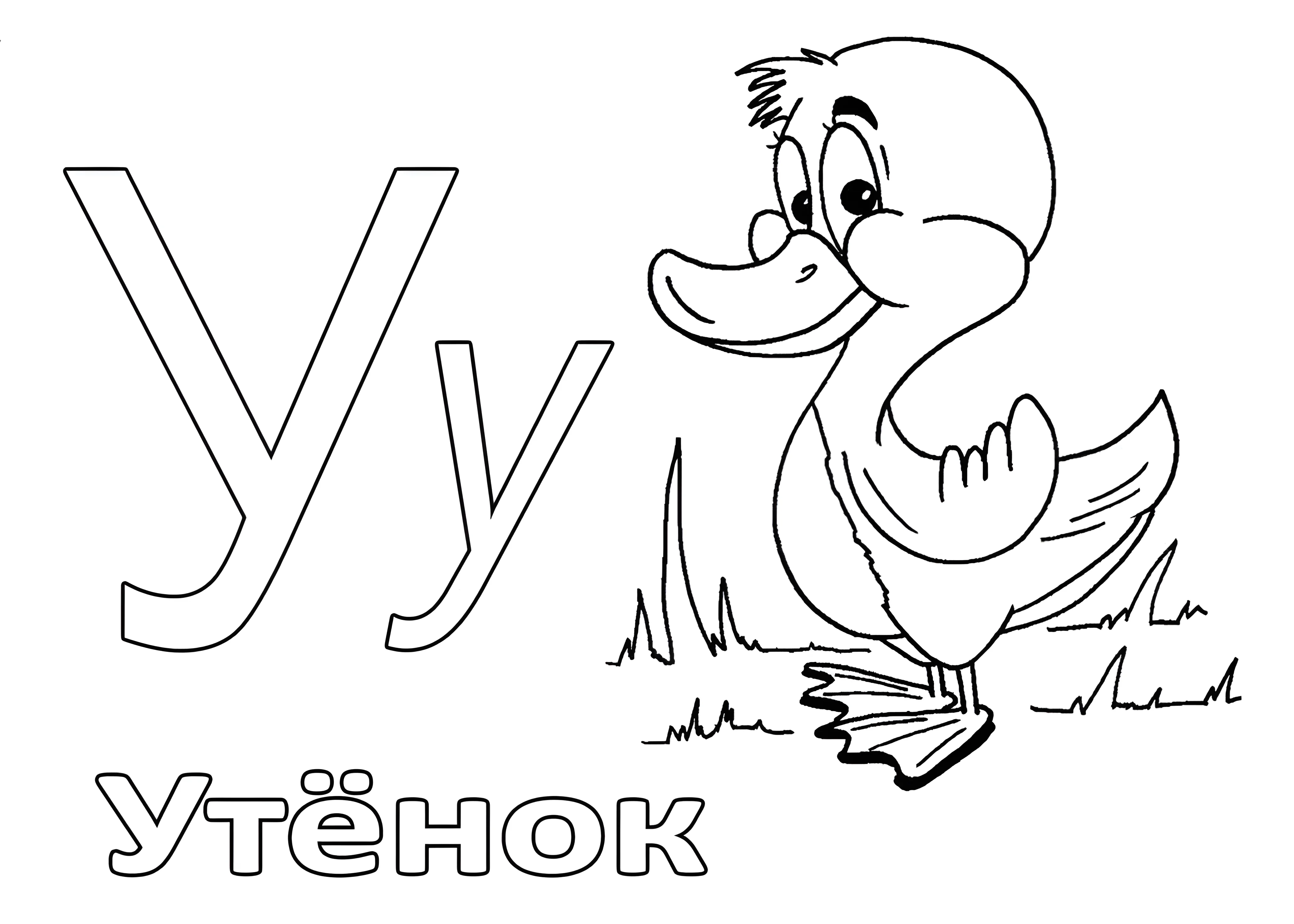 Веселый утенок для малышей №6604. Обучающие и развивающие раскраски для детского сада, для начальных классов. Азбука в картинках.