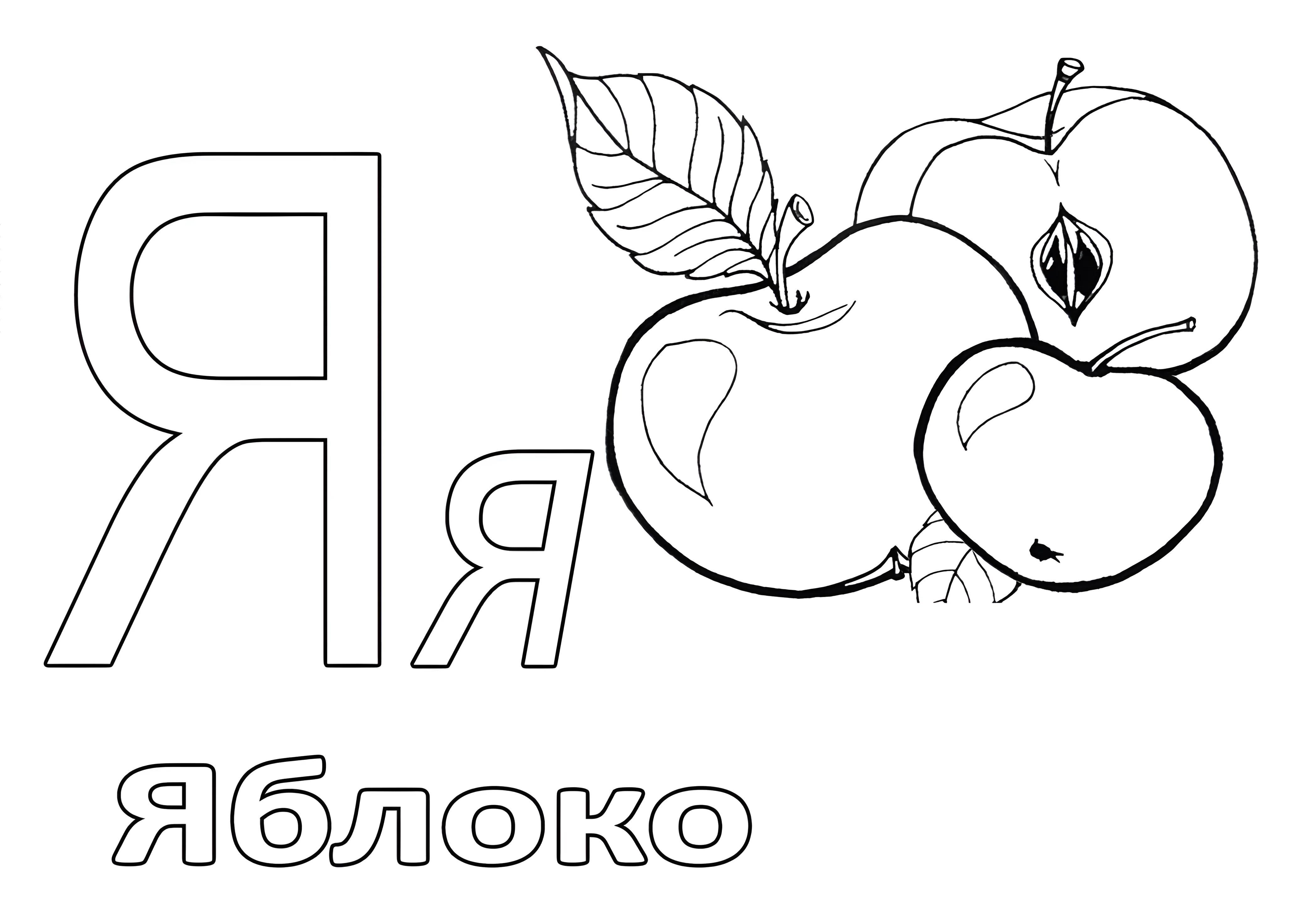 Азбука с яблоком для малышей №6605. Обучающие и развивающие раскраски для детского сада, для начальных классов. Азбука в картинках.