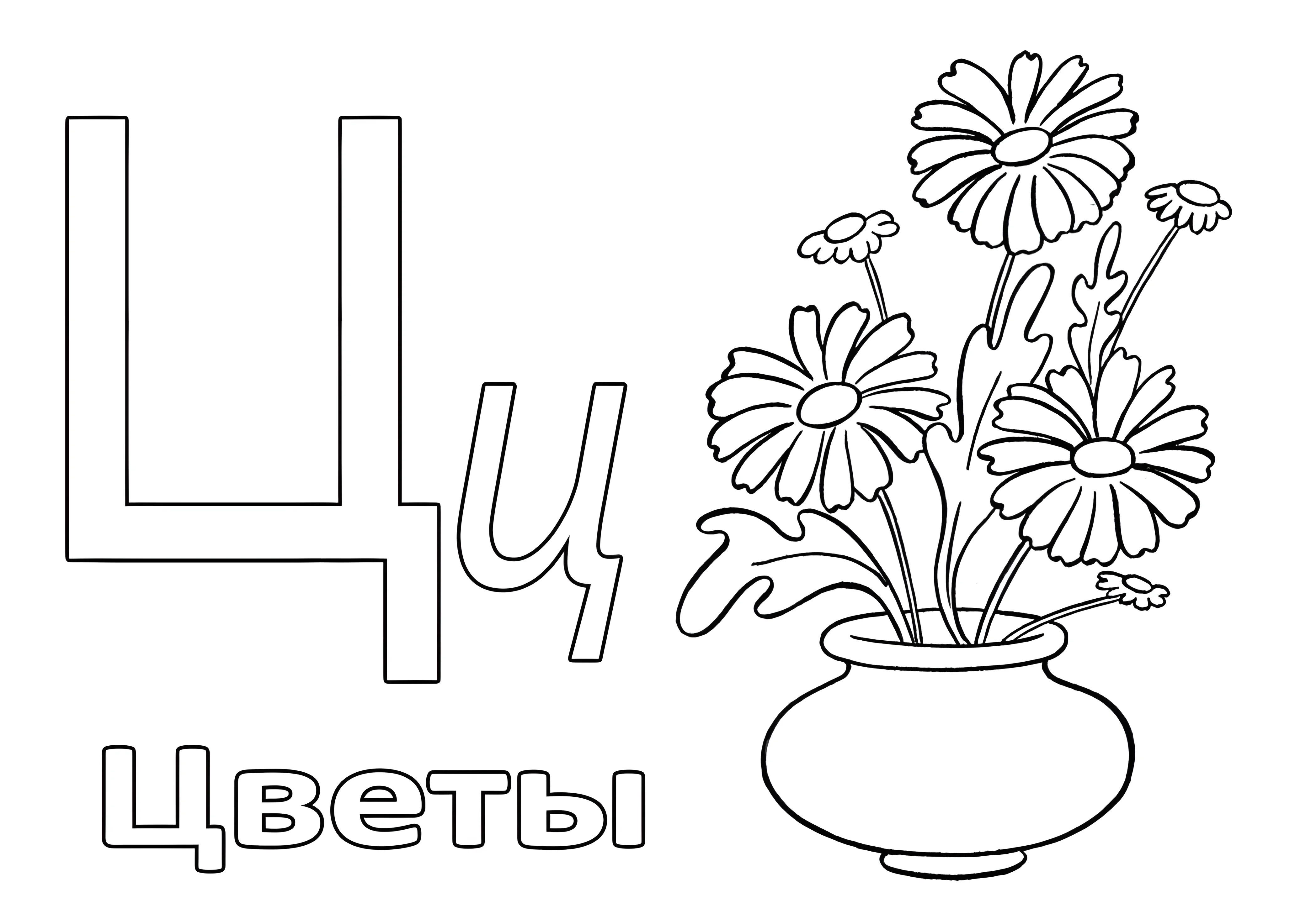 Буква Ц и красивые цветы для детей №6610. Обучающие и развивающие раскраски для детского сада, для начальных классов. Азбука в картинках.