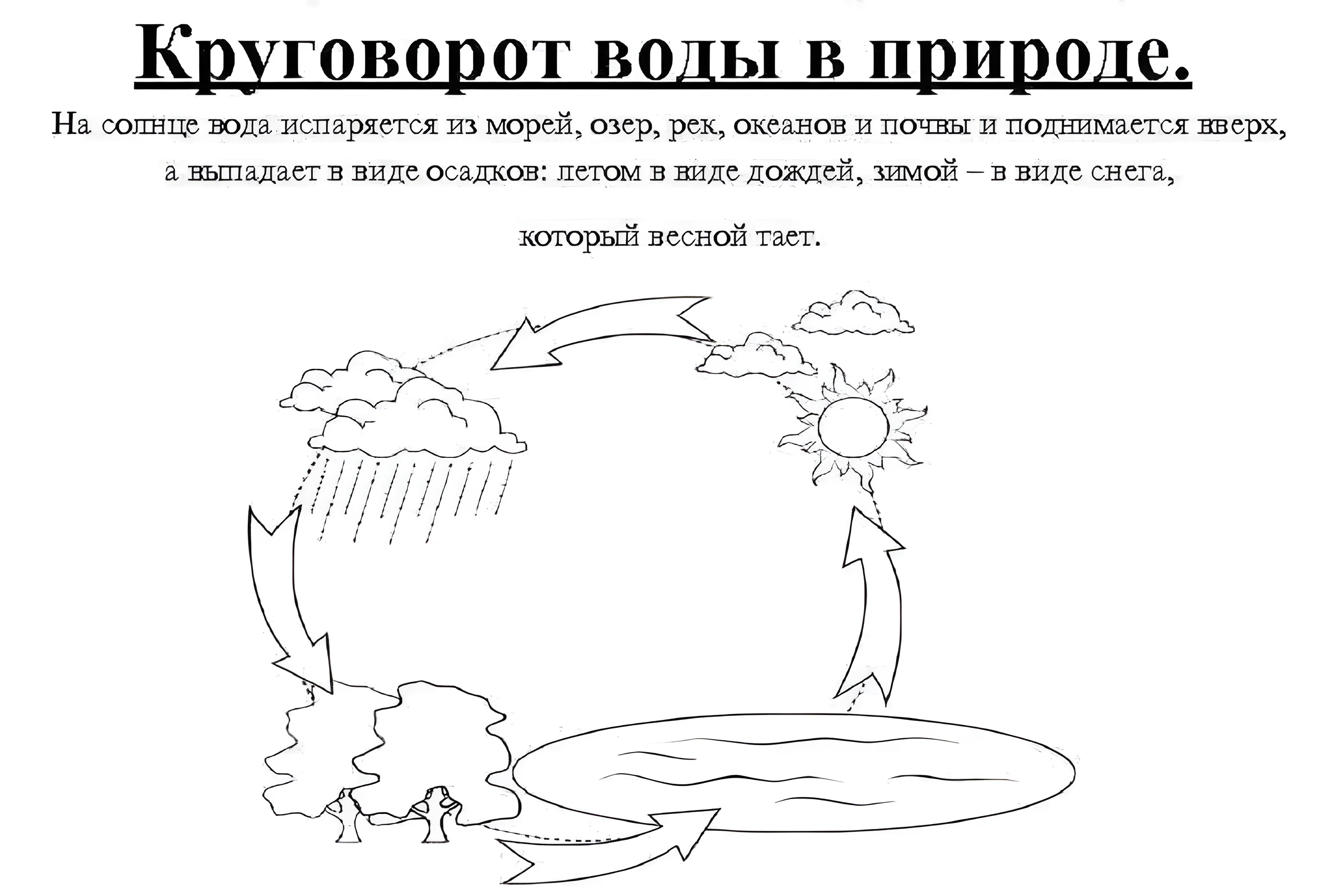 Круговорот воды в природе для детей №6698. Обучающие и развивающие раскраски для детского сада, для начальных классов. Круговорот воды.