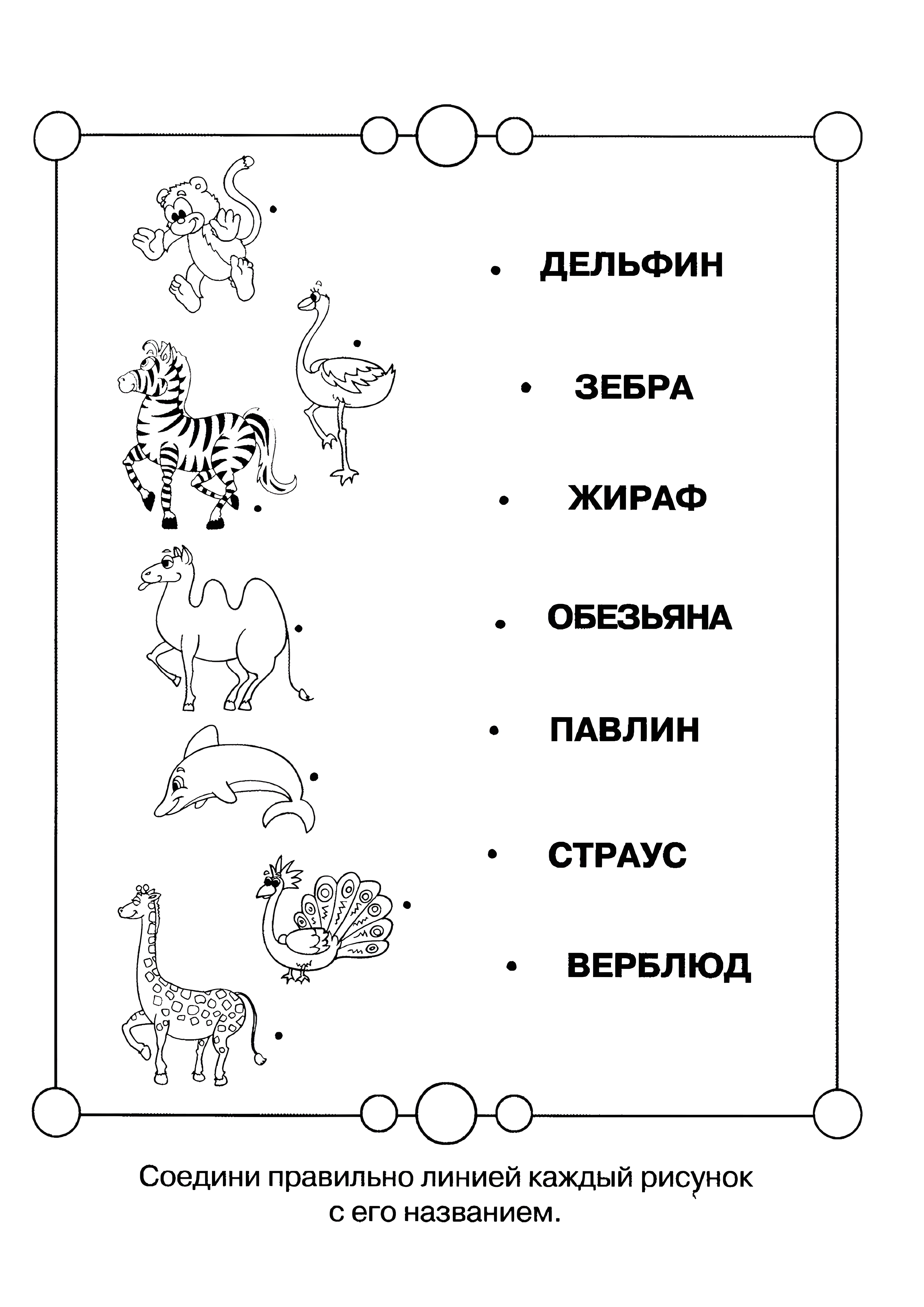 Развивающие задания для детей с животными №6215. Обучающие и развивающие раскраски для детского сада, для начальных классов. Логические.