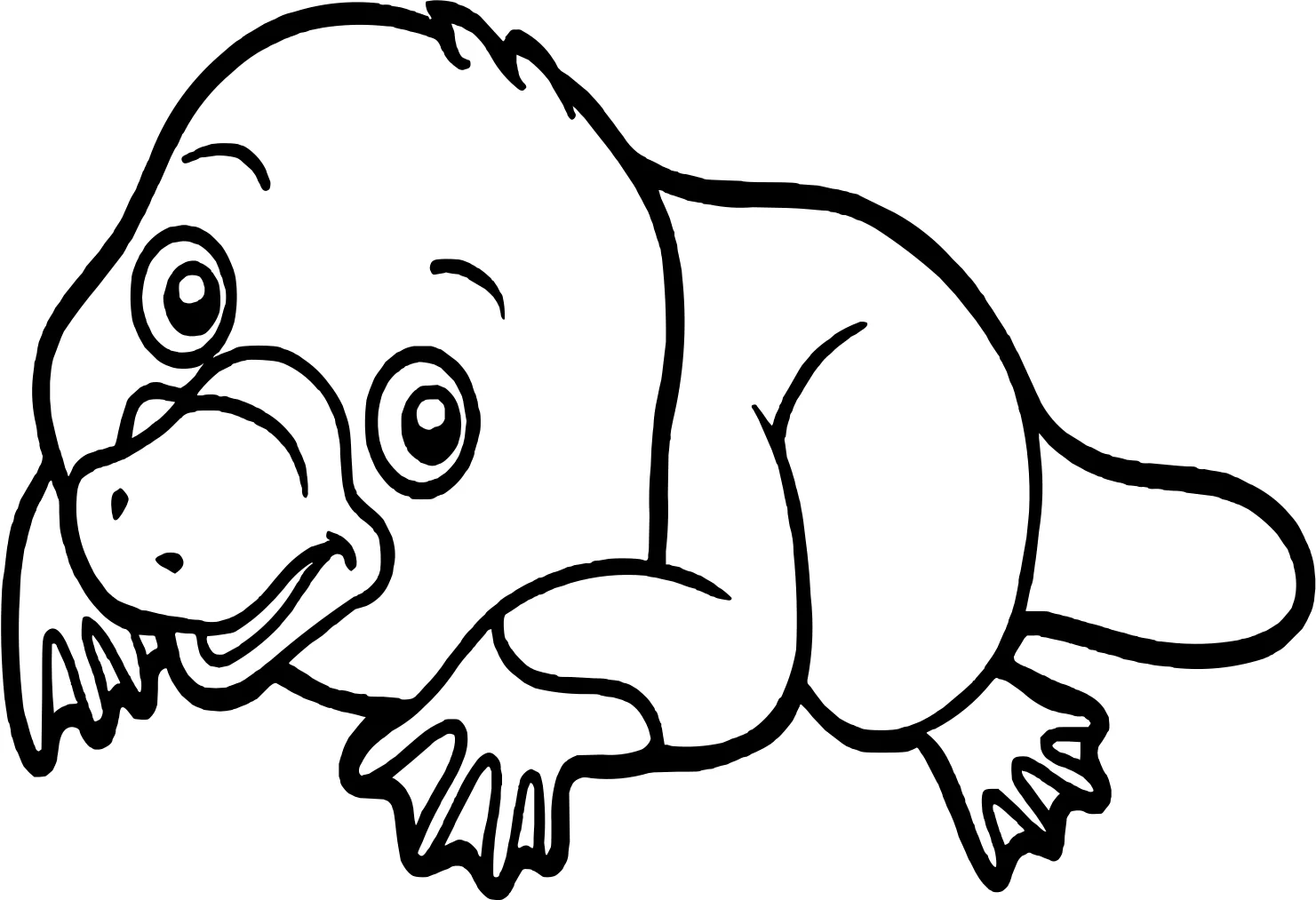 Простой утконос от Platypus №17860. Раскраски животные (весь животный мир). Утконос.